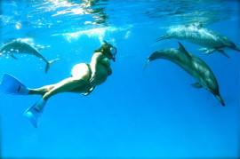 Med delfiner fyra dagar innan hennes dotter föddes. Foto: Dana Richardson mana Kai Photography Big Island Hawaii