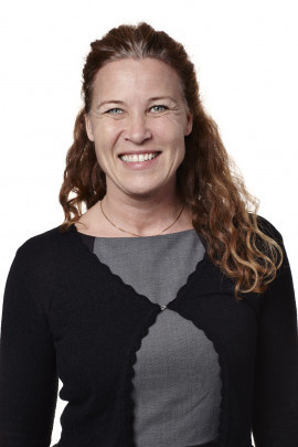 Ann-Helen Persson, Centern