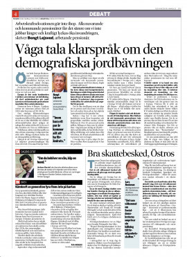 Artikel i Dagens Industri 17 november