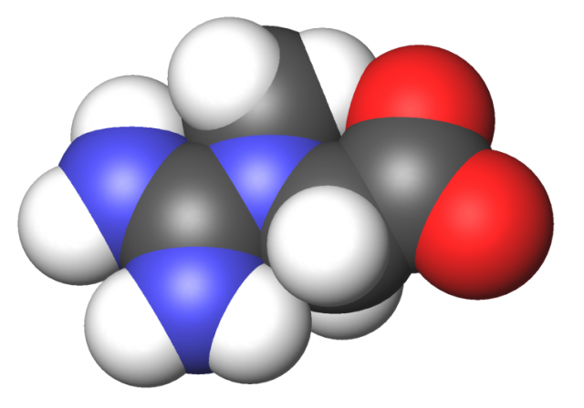 Kreaqtin Creatine prestation