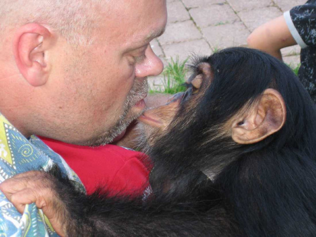 Joe Formgren får en puss av schimpansen Manda i tryggt sällskap av Ing-Marie Persson.