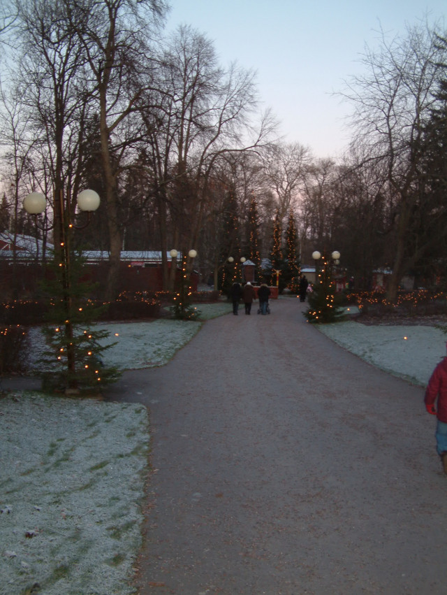 Det är närmare en miljon ljuspunkter som sätts upp i träd och runt byggnader i Furuvik lagom till första advent.