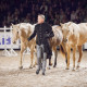 Turnépremiär för Tobbe Larsson populära hästshow med stjärnhästarna Nicke & hans vänner!