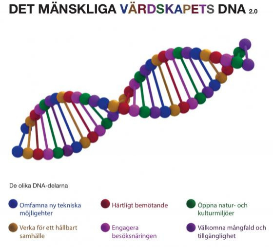 DNA-modellen beskriver att allt hänger ihop