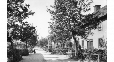 Brukslängor i Sandviken 1926 (foto Hartman)